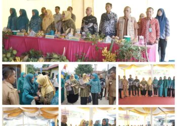 Tim Evaluasi Pola Asuh Anak Remaja Tingkat Provinsi Sumatera Utara Kunjungi Desa Sei Halim Hasak Kabupaten Asahan