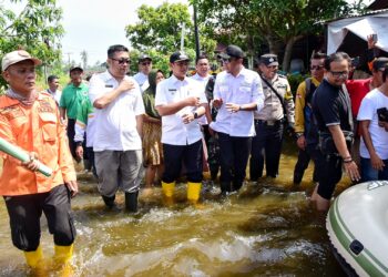 Pj Bupati Tinjau Banjir di Hamparan Perak