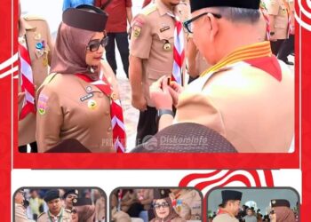 Hj Ellya Rosa Siregar Terima Penghargaan Lencana Melati