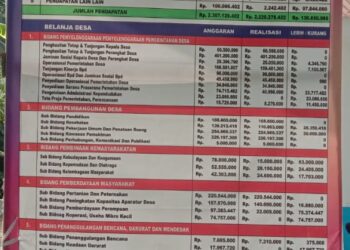 Nyeleneh, Inspektorat Provinsi Sumut Dan Kabupaten Diduga Tidak Profesional Lakukan Pemeriksaan Audit Dana Desa Pondok Batu 2023