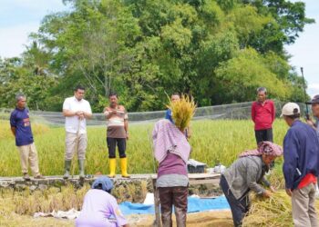 Petani di Balige Curhat Kepada Bobby Nasution, Soal Pupuk Hingga Infrastruktur