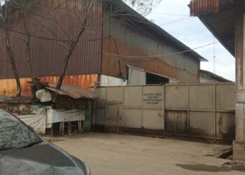 Bau Busuk Resahkan Masyarakat, diminta DLH Dan Perindo Diminta Tindak Tegas Pabrik Bulu Ayam Di Gabion Belawan