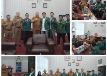 Ikatan Pelajar Al-Washliyah Audensi ke Bupati Asahan