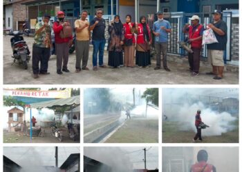 Kelurahan Mutiara dan UPTD. Puskesmas Mutiara Lakukan Fogging