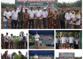 Wakil Bupati Asahan Ikuti Penanaman Perdana Program PSR