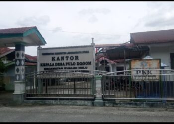 Tahun 2022, Desa Pulo Dogom 2 Kali Beli Ambulance ?