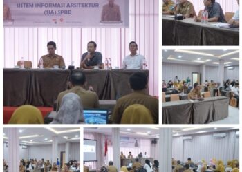 Pemerintah Kabupaten Asahan Gelar Sosialisasi dan Bimbingan Teknis Sistem Informasi Arsitektur (SIA) SPBE