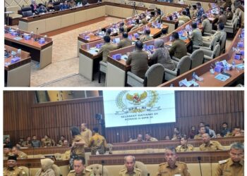 Pjs Bupati Asahan Ikuti RDP Komisi II DPR RI