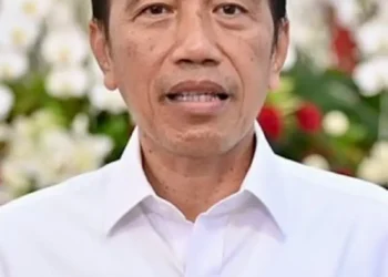 Ini Respons Jokowi Terkait Penetapan Tersangka Hasto Kristiyanto oleh KPK 