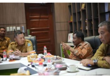 Wali Kota Binjai Ikuti Musrenbangnas RPJMN 2025 Secara Daring