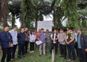 Panen Perdana Kebun Bah Birung Ulu PTPN IV Regional II di Lahan Eks Hutan Berlangsung Lancar
