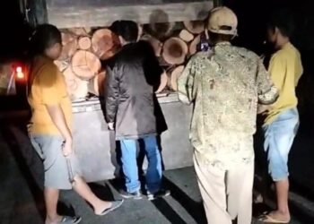 Lemahnya Pengawasan dan Penegakan Hukum Terhadap Dugaan Ilegal Loging di Kabupaten Pelalawan