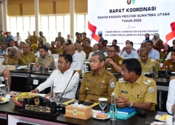 Dua Bendungan di Deli Serdang Belum Berfungsi Maksimal, Menko Pangan: Tahun Depan Selesai