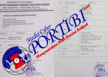 Ada Pekerjaan Pengadaan Peralatan Kolam Bioflok Ikan dan Belut Tahun 2024 di Dinas KPP Binjai, Lokasinya Dimana Ya?
