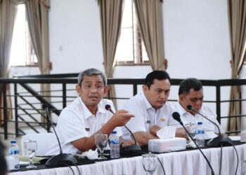 Menpan-RB Minta Pemda Bantu Tuntaskan Penataan Tenaga Non ASNl