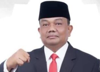 Demi Tercipta Medan Aman, Binsar Simarmata Ingatkan Pemko Tidak Lakukan Efisiensi Anggaran LPJU