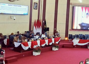 Janses Simbolon : Perda RDTR dan Peraturan Zonasi Kota Medan Tahun 2015-2035 Sudah Tidak Relevan