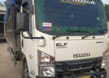 Satu Unit Dump Truk Ditemukan Bermuatan Kayu Yang Diduga Hasil Ilegal Logging Di Kerumutan