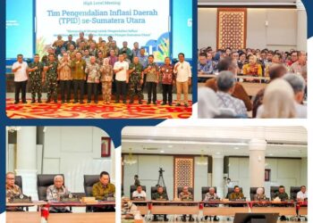 Bupati Labuhanbatu dr Hj Maya Hasmita Ikuti High Level Meeting Bersama Wagubsu