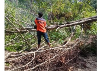 Akibat Pohon Tumbang Jalan  Penghubung Salak  – Pagindar Kabupaten Pakpak Bharat  Putus Total