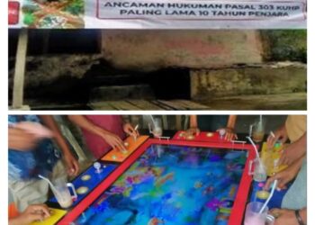 Pengamat Hukum Desak Polres Belawan Tindak Lokasi Judi Tembak Ikan di Kotabaru Titi Papan