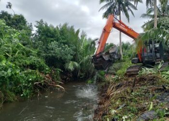 Masyarakat Harapkan Bupati Madina Berhentikan Kepala Desa Pasar VI Natal, Ini Masalahnya