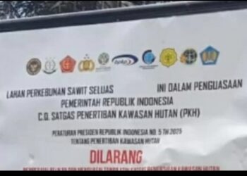 Penertiban Kawasan Hutan Satgas Pasang Plang di 10 Titik Perusahaan di Pelalawan