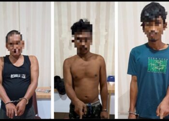 Beda Sikap Kapolres, Kasat Narkoba dan Kasi Humas Soal Narkoba di Pulo Jantan