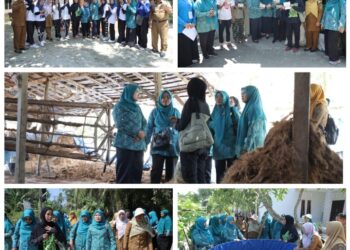 Ketua PKK Kabupaten Asahan Monitoring Lomba Hatinya PKK Tingkat Sumut di Desa Banjar