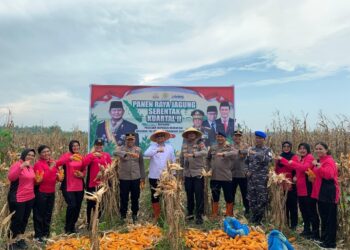 Dipimpin Presiden RI, Via Daring Wakil Wali Kota Tanjungbalai Ikuti Panen Raya Nasional Jagung Serentak Kuartal II di Bengkayang