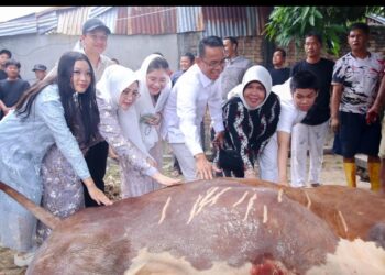 Wakil Walikota Medan Serahkan 4 Hewan Kurban