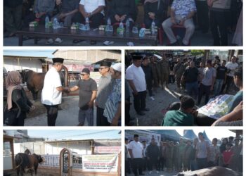 Bupati Asahan Serahkan Hewan Kurban Presiden Prabowo Subianto ke Masjid Raya Kisaran