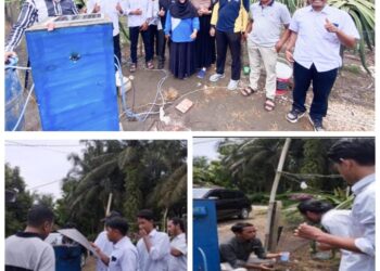 Universitas Royal Dorong Pertanian Modern Kebun Buah Naga di Simalungun dengan Terapkan Teknologi IoT