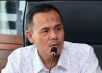 Dinilai Tak Beri Kontribusi ke Pemko Medan, Muslim Harahap Sarankan PUD Pembangunan dan PUD RPH Dimerger
