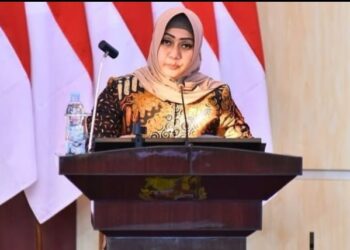 Lailatul Badri Kritisi Kinerja Satpol PP Tak Berani Tindak Bangunan Bermasalah di Kota Medan
