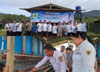 BUMDesa Kecamatan Salak Kabupaten Pakpak Bharat Launching Ketapang Bidang Peternakan