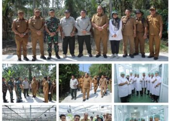 Bupati Asahan Dampingi Plt Dirjen Perkebunan Kementan RI Tinjau Lokasi Cetak Sawah di Desa Silo Bonto