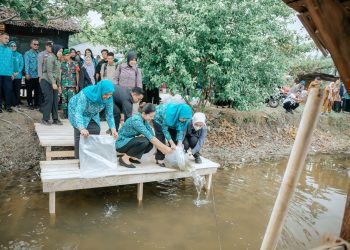 Kahiyang Ayu Tabur 15.000 Benih Ikan, Dorong Swasembada Pangan di Langkat