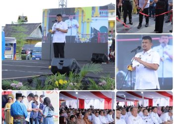 Insentif Pajak Jadi Strategi Percepatan Investasi, Bupati Asahan Dorong Sektor Unggulan Daerah