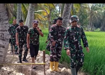 Dandim 0212/TS Tinjau Pelaksanaan Oplah di Kecamatan Siabu