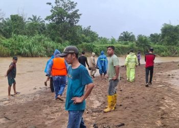 Seorang Warga Kampung Sawah Madina Hanyut di Sungai Batang Natal