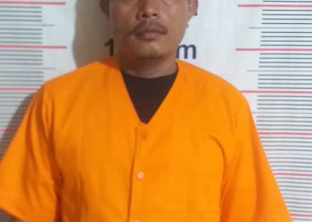 Polsek Bahorok Berhasil Tangkap Pelaku Curanmor, Satu Unit Honda Supra X Jadi Barang Bukti