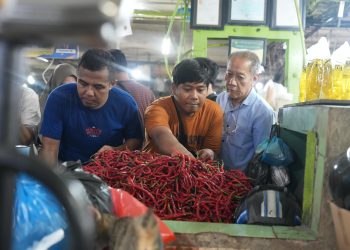 Harga Cabai Turun Jadi Rp35 Ribu/Kg, Inflasi di Sumut Terkendali