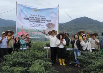 Bupati Pakpak Bharat Hadiri Panen Perdana Tanaman Cabai Merah Bantuan Dinas Ketapang Dan Holtikultura Provinsi Sumut