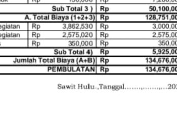 Ini Penjelasan HJ soal Dugaan Jadi Tim Tenaga Ahli