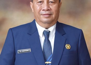 Wakil Ketua DPRD Langkat, Antoni, Apresiasi Terpasangnya Lampu Jalan di Padang Tualang