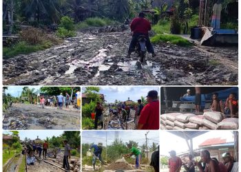 Pemerintah Terkesan Tutup Mata, Warga Desa Sei Sembilang Perbaiki Akses Jalan Secara Swadaya