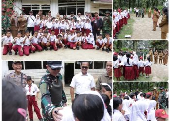 Dandim 0208 Asahan Tinjau Kondisi SDN  017722 Huta Padang Aek Silabat Estate