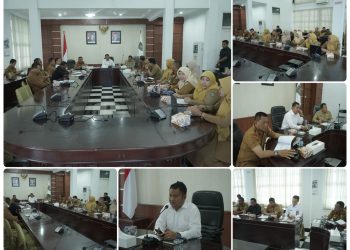 Pemkab Asahan Siap Terhubung ke DTSEN untuk Tingkatkan Ketepatan Data Bansos