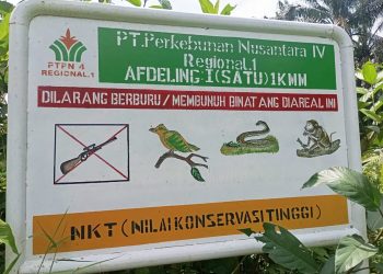 PTPN IV KMM Diduga Merusak Areal NKT demi Perluasan Sawit